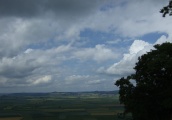 2011- 193.jpg